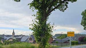 Dichtelbach, Djembé, Hunsrück