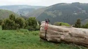 Kreuznach, Trommeln, Afrika, Dichtelbach