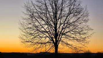 Musik, Afrika, Kreuznach, Afro