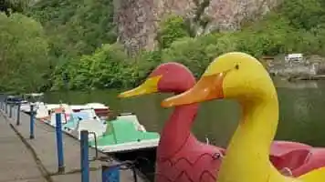 Kreuznach, Djembadi, Musik, Afrika