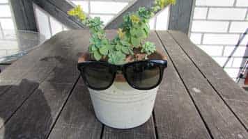 Gippert, Sitemap, Djembé, Afro